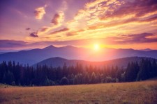 Wandbild: Schöne grüne