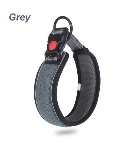 Premium halsband hundehalsband - halsband,