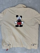 ICEBERG HISTORY DISNEY MICKEY