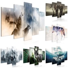 TIERE ELEFANT Leinwandbild TNT