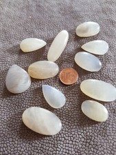  Natürlich Regenbogen Mondstein Oval Cabochonschliff Edelstein 11 Stück 