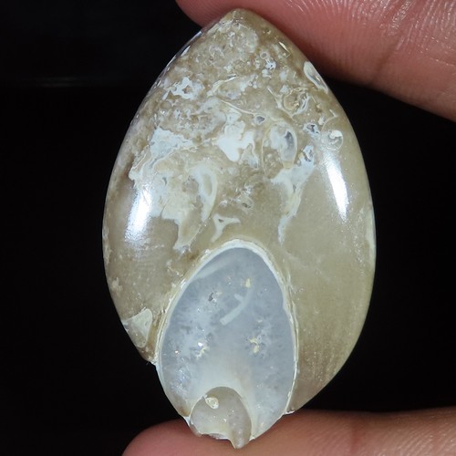 Natürlich fossil druzy quarz - druzy,