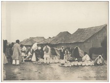 XX3139/ La Balci Rumänien