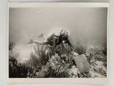 Wissenschaftler Wolfgang