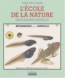 Lécole nature les - nature, :