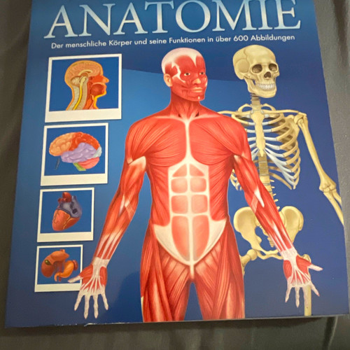 Anatomie gesundheitsatlas - anatomie, –