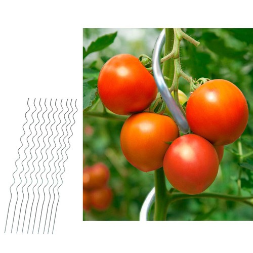 Tomatenstäbe rankhilfe - tomatenstäbe,