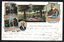 Lützen, Gustav Adolf Fest - Portrait, Denkmal, Schwedenstein, Ansichtskarte 
