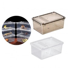 Reptilien-Futterbox, tragbares