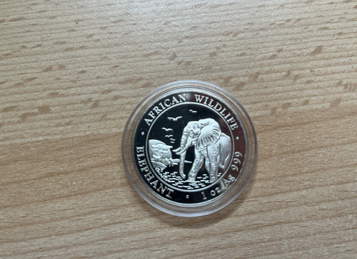 Silber somalia elefant - somalia,