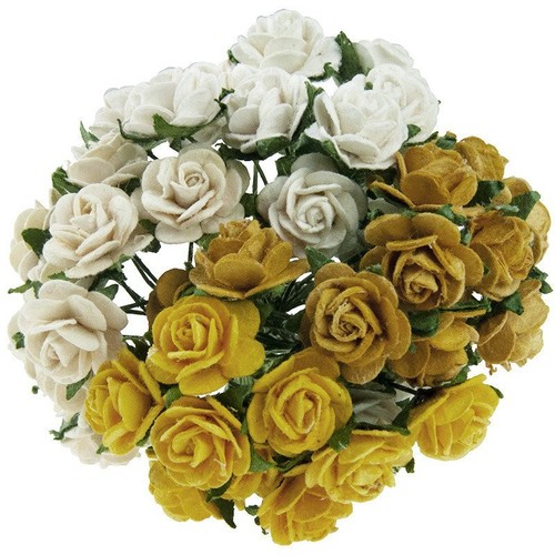 Rosen geöffnete 50 stk - mm,