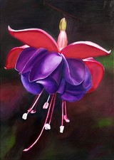 Modern Acrylic Painting