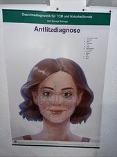 3 Poster Gesichtsfiagnostik