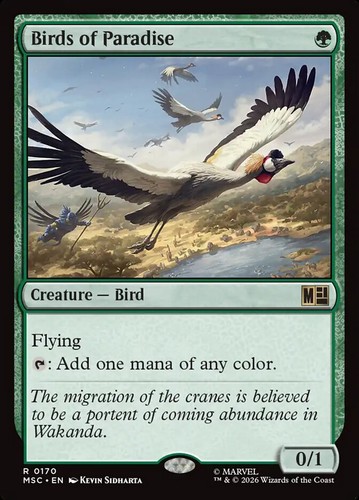 Birds paradise msc 170 nm - paradise, msc-170