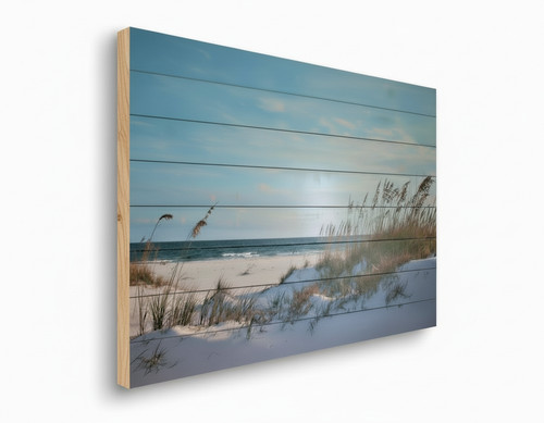 Strand dünen holz wandbild - strand,