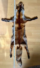 Fuchsfell - Rotfuchs -