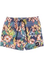 O Neill Shorts Herren kurze