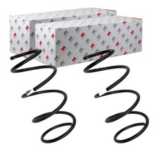 2X NK FAHRWERKSFEDERN HINTEN