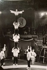 Zirkus Artisten Artistik