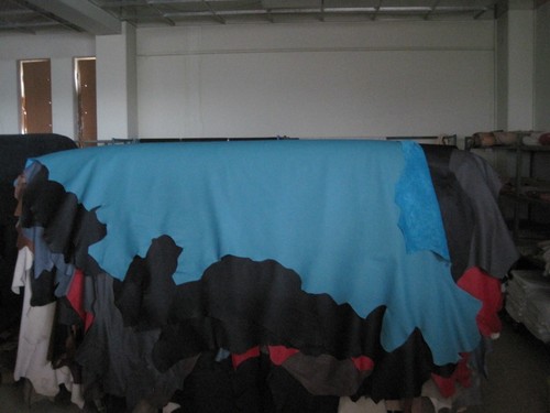 Lederhaut rindnappaleder - 1, lederhaut,
