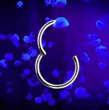 I KLICKER OHRRING 8 mm I Echt