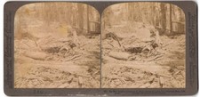 Stereo-Fotografie Underwood &