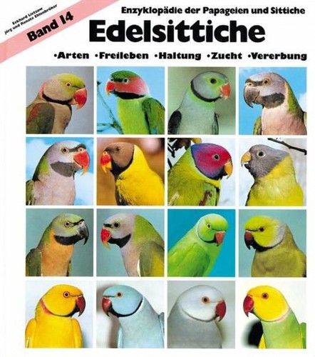 Jörg ehlenbröker - jörg,