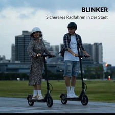 Elektro Scooter, 350W Motor &