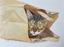 Katze Original Pastell Malerei, Katzenportrait Gemälde, A4, 21 x 29,7 cm