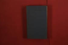 407886 Julien Green IN DEN