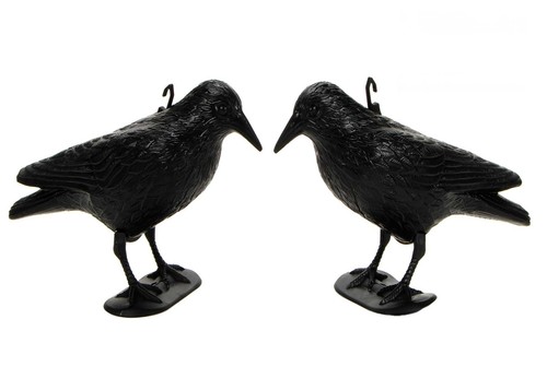 Vogelschreck krähe - vogelschreck,