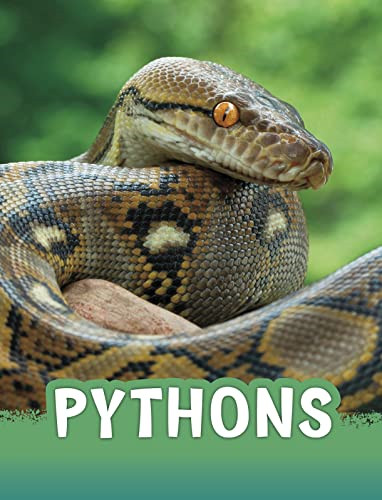 Pythons paperback - (animals),