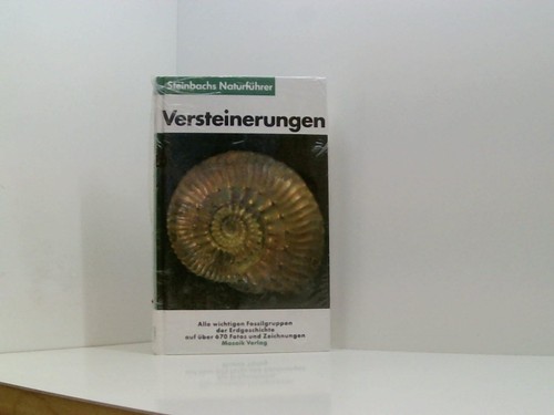 Versteinerungen fossilien - versteinerungen, :