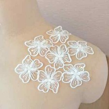 Spitzenapplikation Spitze