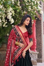 Fashnixy Lehenga Choli Lengha