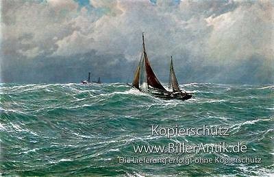 Nordsee schnars alquist - nordsee, schnars-alquist