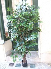Künstlicher Ficus 1,80m mit unterschiedlichen Blättern  Lianenstamm Top Qualität