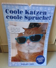 Kalender von 2023 -Coole Katzen - Coole Sprüche