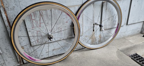 Campagnolo shamal titanium - campagnolo,