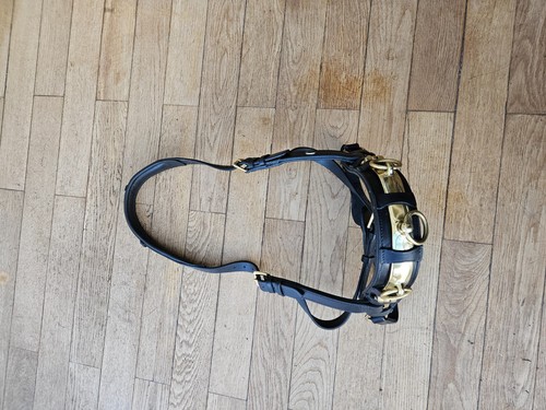 Lederkappzaum schwarz gold - lederkappzaum, schwarz-gold