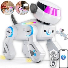 Fernbedienung Roboter Hund