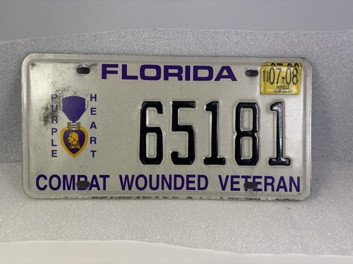 Florida combat wounded veteran - florida,