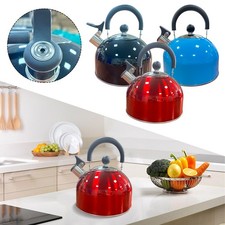 Michelino Teekessel Flötenkessel Wasserkocher Wasseraufbereiter Kessel DE