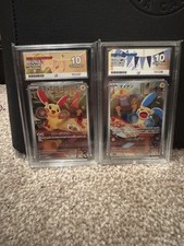 Plusle 065 & Minun 066 Raging