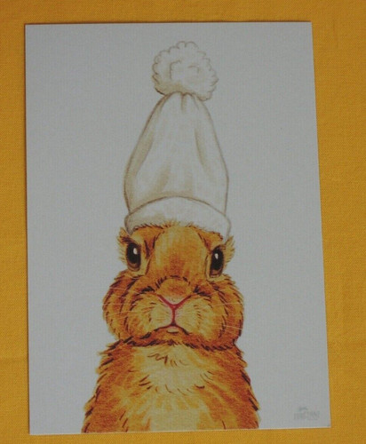 Postkarten hasen kaninchen - 1x,