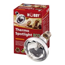 Hobby thermo spotlight - hobby,