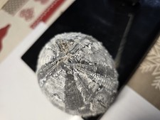 Top Seeigel Ostsee Steinkern  Versteinerung 