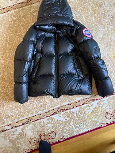 Canada goose crofton arctic - canada,