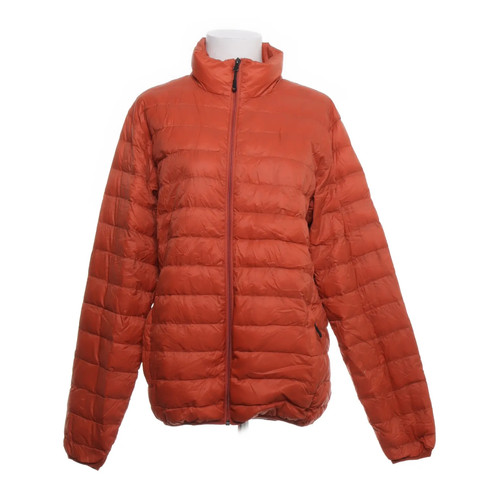 Hawke leichte jacke - hawke,