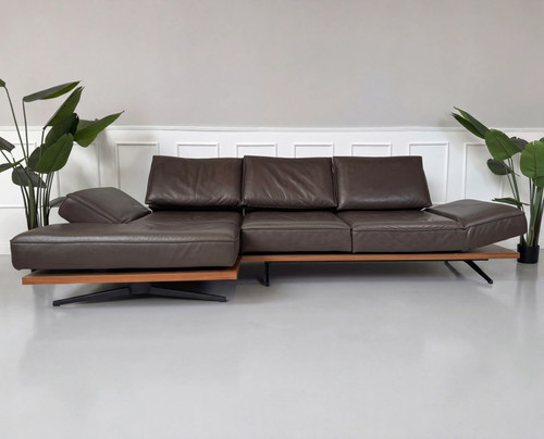 Koinor phoenix designer - designer, sofa